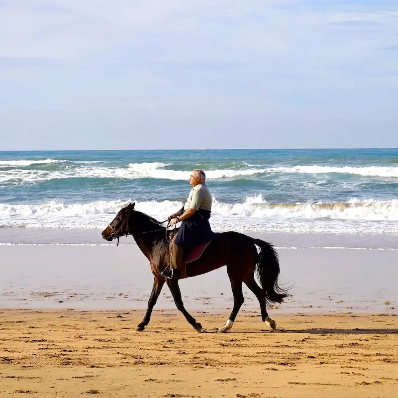A tourist riding a horse on Casablanca beach, enjoying the sunset and the tranquil ambiance, organized by Morocco Tours & Transfers